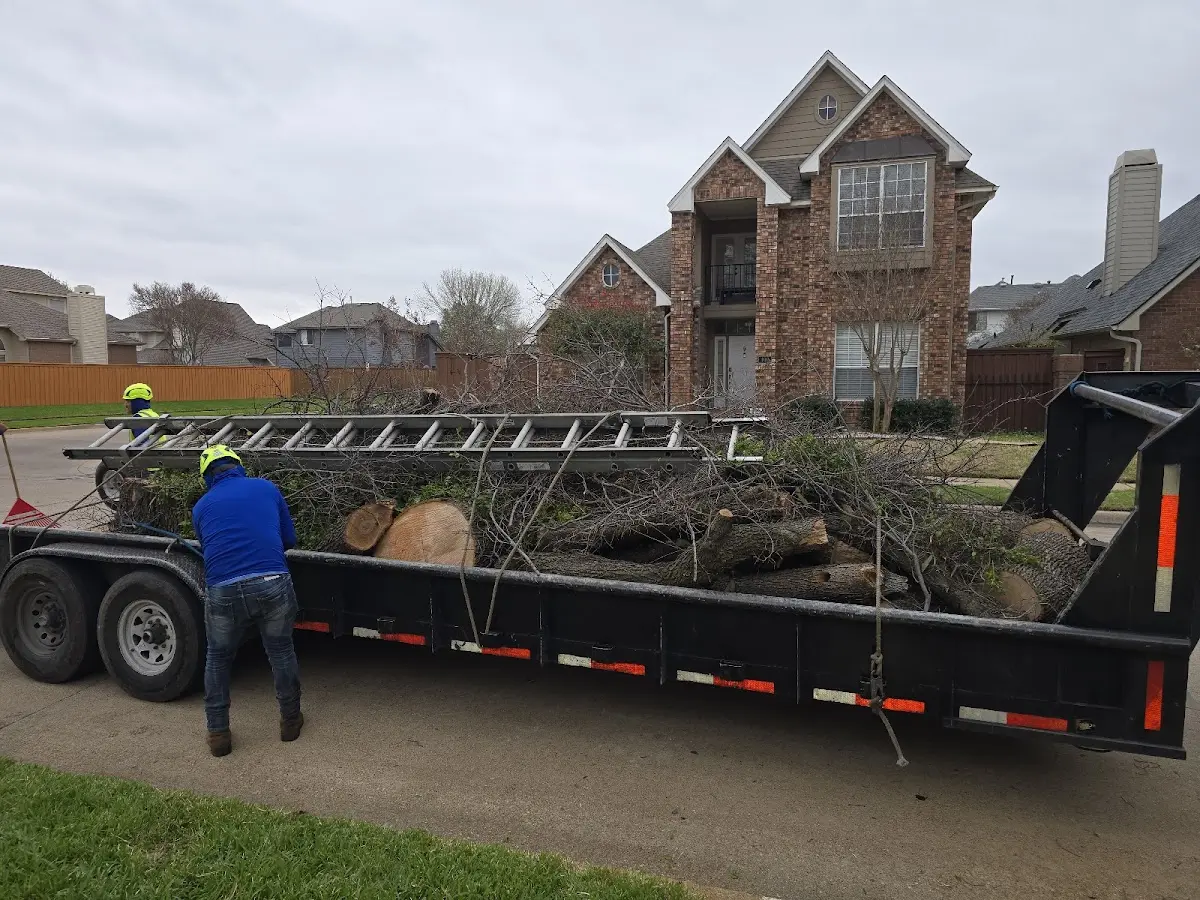 Expert Tree Fertilization with proper safety equipment in Georges Mills
